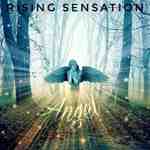 دانلود فول آلبوم Rising Sensation