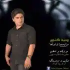 دانلود فول آلبوم وحید گنجور