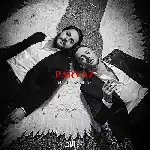 دانلود آهنگ جدید پرواز از مسیح و آرش AP