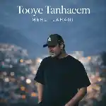 دانلود آهنگ جدید توی تنهاییم از مهدی جهانی