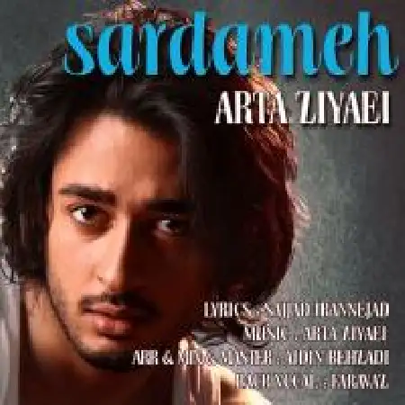 دانلود اهنگ آرتا ضیایی سردمه
