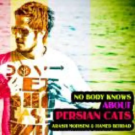 دانلود اهنگ آرش محسنی کسی از گربه های ایرانی خبر نداره (ریمیکس)