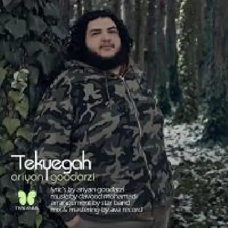 دانلود اهنگ آریان گودرزی تکیه گاه