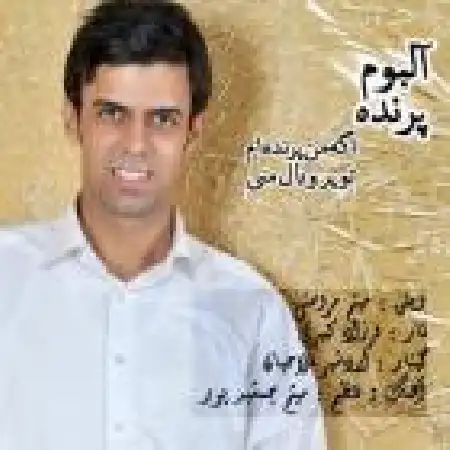 دانلود اهنگ احسان شماعی زاده پرنده