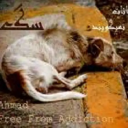 دانلود اهنگ احمد شکوری سگ