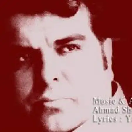 دانلود اهنگ احمد شکوری پیشی