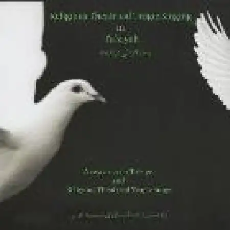 دانلود اهنگ اردشیر صالح پور چو شد عازم ری شه خراسان