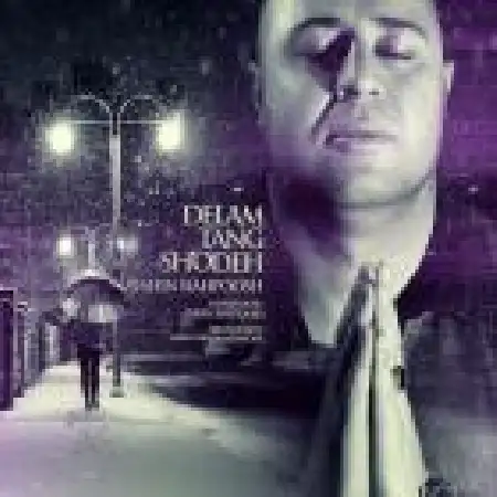 دانلود اهنگ افشین سیاه پوش دلم تنگ شده