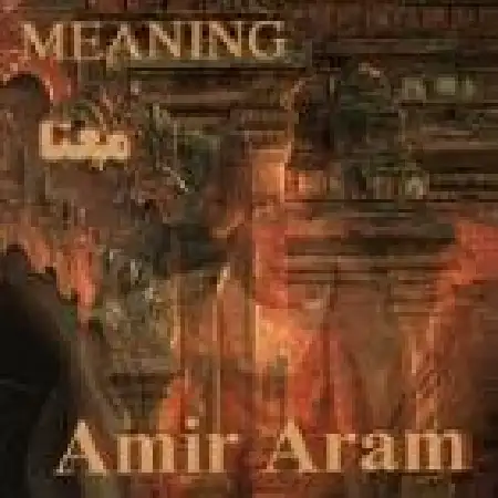 دانلود اهنگ امیر آرام معنا