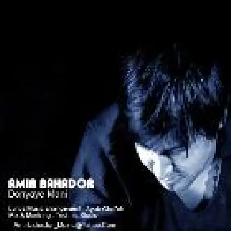 دانلود اهنگ امیر بهادر دنیای منی