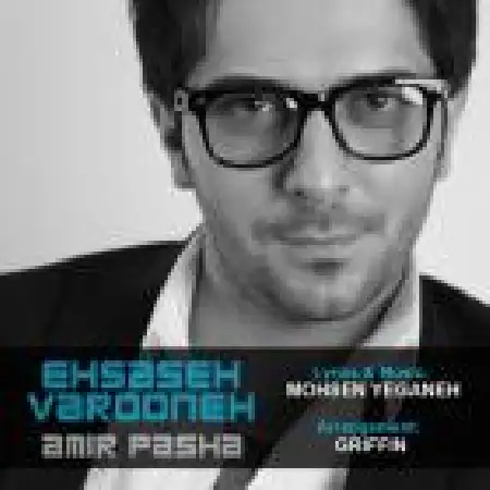 دانلود اهنگ امیر پاشا احساس وارونه