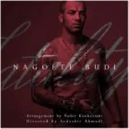 دانلود اهنگ امیر تتلو نگفته بودی