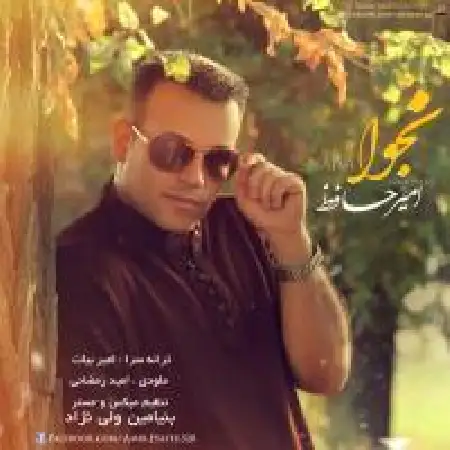 دانلود اهنگ امیر حافظ نجوا