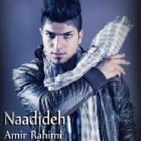 دانلود آلبوم تک اهنگ ها از امیر رحیمی