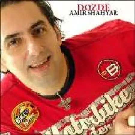 دانلود اهنگ امیر شهیار دزد دل