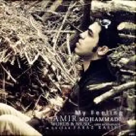 دانلود اهنگ امیر محمدی حس من