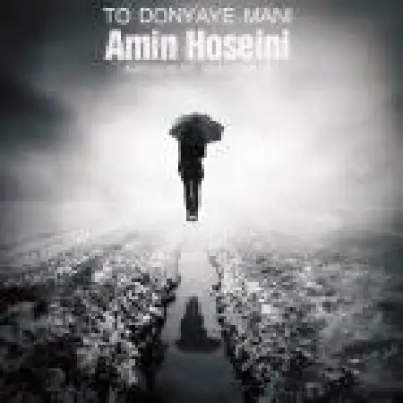 دانلود اهنگ امین حسینی تو دنیای منی