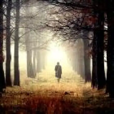 دانلود آلبوم تک اهنگ ها از امین شیرین نیا