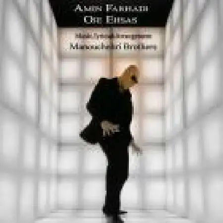 دانلود اهنگ امین فرهادی اوج احساس