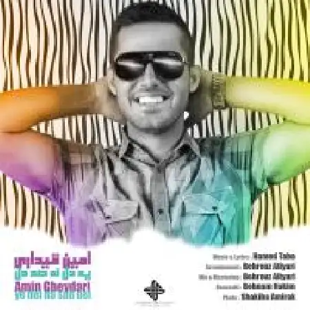 دانلود اهنگ امین قیداری یه دل نه صد دل