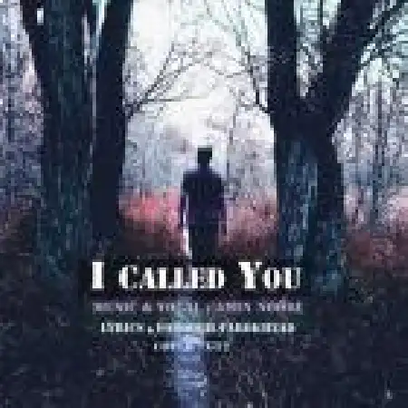 دانلود اهنگ امین نوری تو را صدا کردم