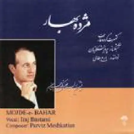 دانلود اهنگ ایرج بسطامی نی و آواز