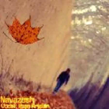 دانلود اهنگ ایمان اریسیان نوازش