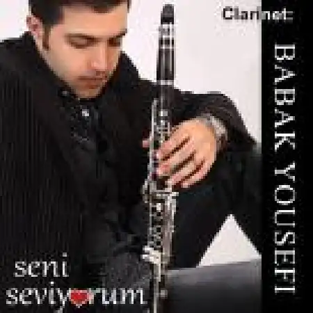 دانلود اهنگ بابک یوسفی Seni Seviyorum