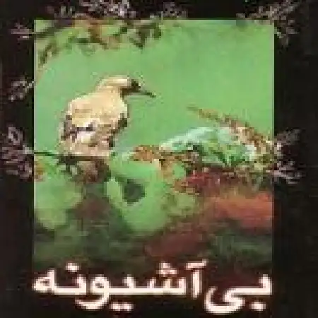 دانلود آلبوم بی آشیونه از بهرام حصیری