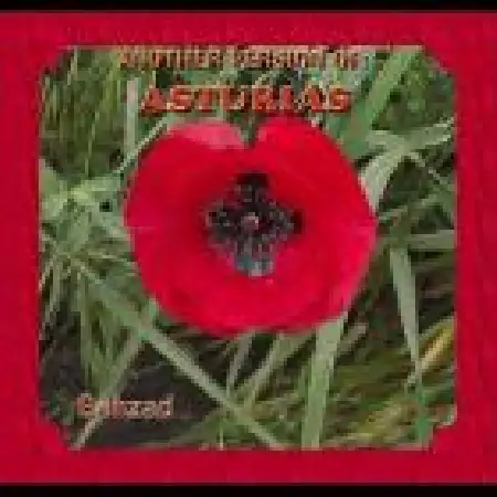 دانلود اهنگ بهزاد آقابیگی Another version of Asturias