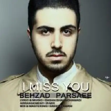 دانلود اهنگ بهزاد پارسایی دلم تنگ شده واست