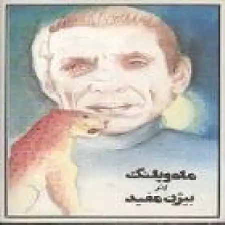 دانلود آلبوم ماه و پلنگ از بیژن مفید