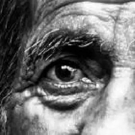 دانلود اهنگ پاپتیز پیرمرد