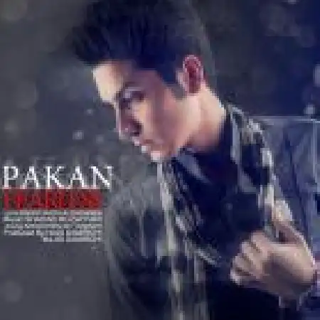 دانلود اهنگ پاکان شیرازیانی بی وحشت