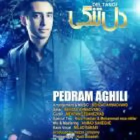دانلود اهنگ پدرام عقیلی دلتنگی