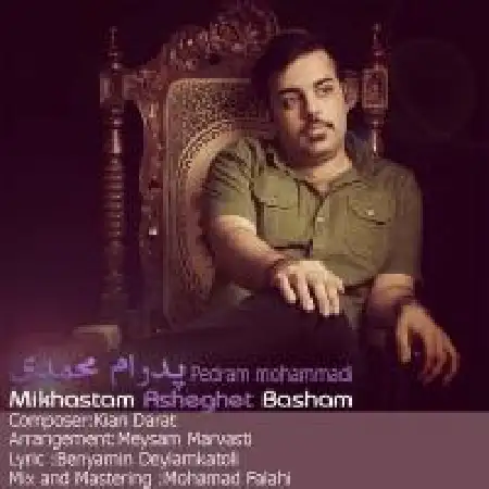 دانلود اهنگ پدرام محمدی می خواستم عاشقت باشم