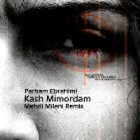 دانلود اهنگ پرهام ابراهیمی کاش می مردم (ریمیکس)