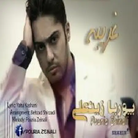 دانلود اهنگ پوریا زینعلی غریبه