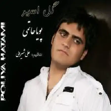 دانلود اهنگ پویا حاتمی تو بمون (گیتار)