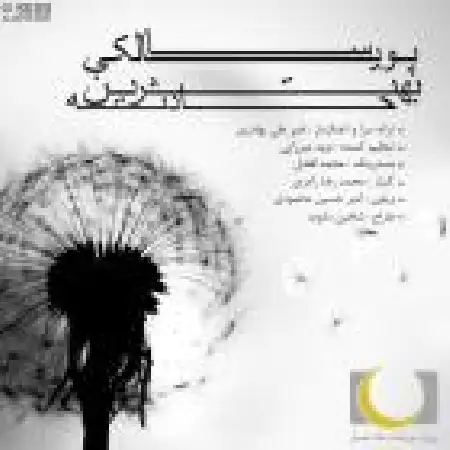 دانلود اهنگ پویا سالکی بهترین حادثه