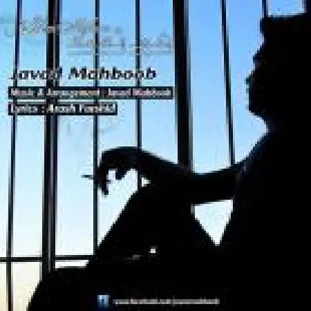 دانلود آلبوم تک اهنگ ها از جواد محبوب