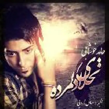 دانلود اهنگ حامد خوشابی نخلای دل مرده