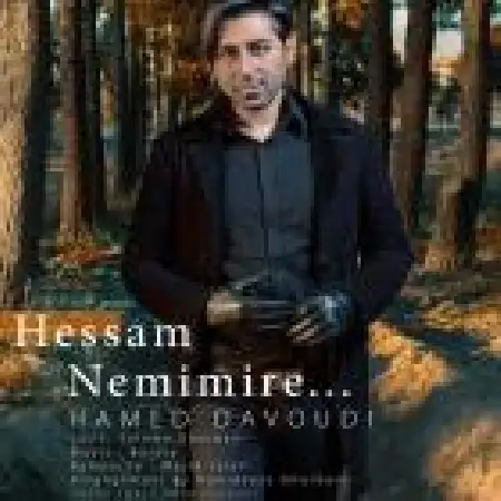 دانلود اهنگ حامد داودی حسم نمی میره