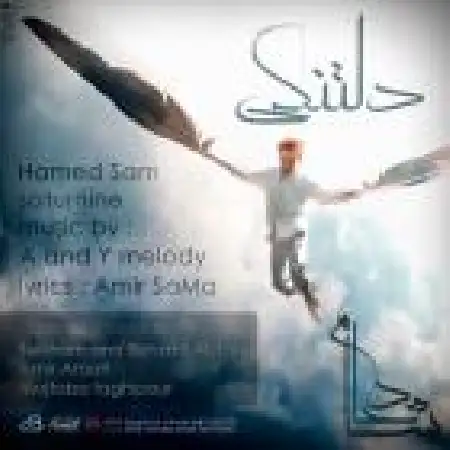 دانلود اهنگ حامد سام دلتنگی