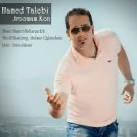 دانلود آلبوم تک اهنگ ها از حامد طالبی