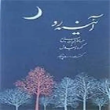 دانلود اهنگ حسام الدین سراج تصنیف بی دلان