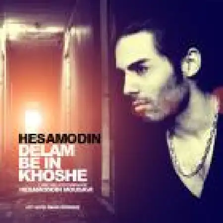 دانلود اهنگ حسام الدین موسوی دلم به این خوش