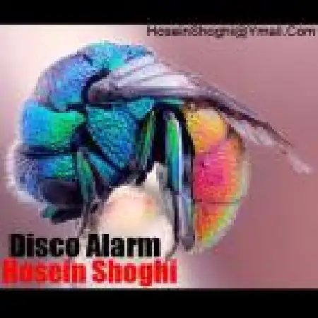 دانلود اهنگ حسین شوقی دیسکو آلارم