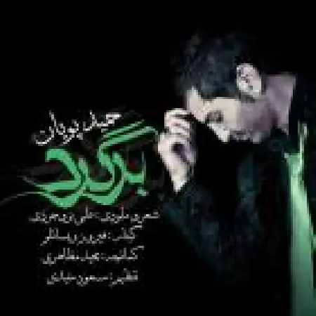 دانلود اهنگ حمید پویان برگرد