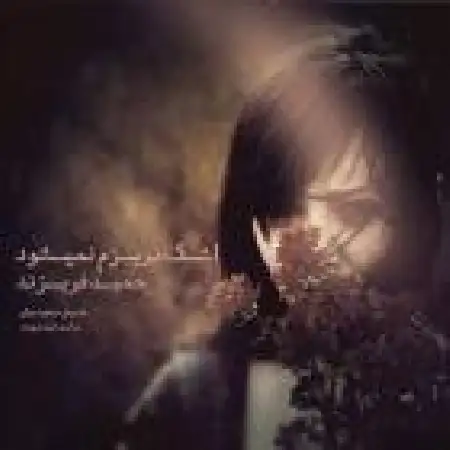 دانلود اهنگ حمید فریزند اشک نریزم نمیشود